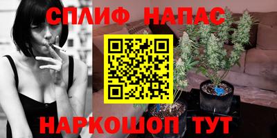 стаф Новокубанск