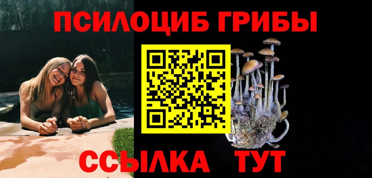 Галлюциногенные грибы Psilocybine cubensis Сызрань